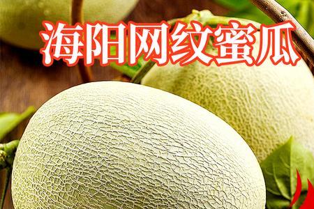 小蜜瓜朋友圈文案