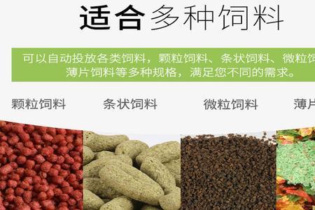 投食和投喂的区别