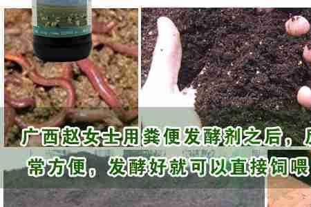 蚯蚓养殖ph值