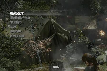 3060玩古墓丽影崛起够用吗