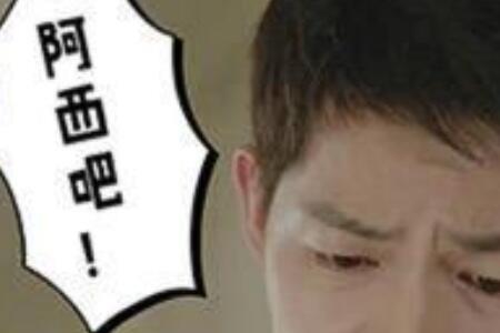 阿吧是什么意思
