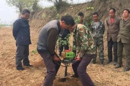 四季果干枯了怎样补救
