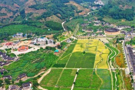 福建省人均几亩地