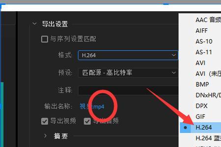 为何Pr中视频导出不见了