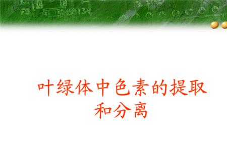 叶绿素a和叶绿素b的化学组成