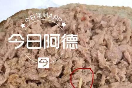 蚂蚁吃蛆吗