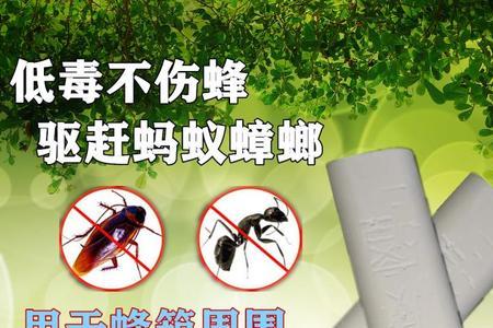 蚂蚁药可以放在车内吗