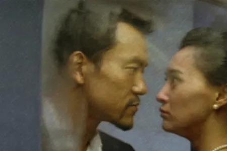 一半海水一半火焰讲述的是什么