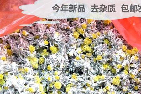 潮汕鼠壳草是什么