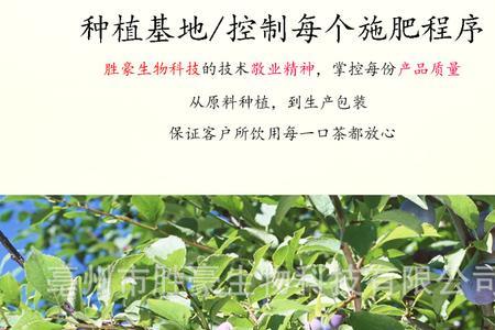 乌梅和乌羽玉是一个品种吗