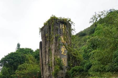 桂林有什么野生动物