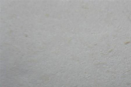 隐翅虫为什么能有强酸