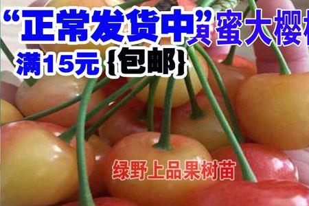 冰糖樱与黄蜜樱桃的区别