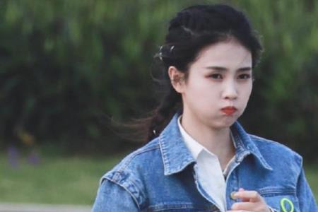 奔跑吧2023白鹿为什么没有参加