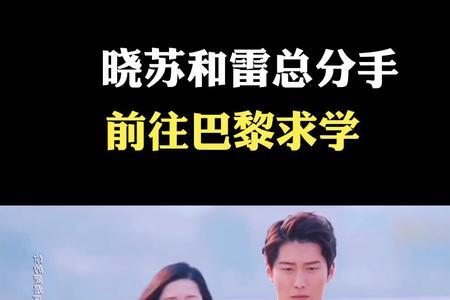 海上繁花晓苏遭污蔑成小偷结局