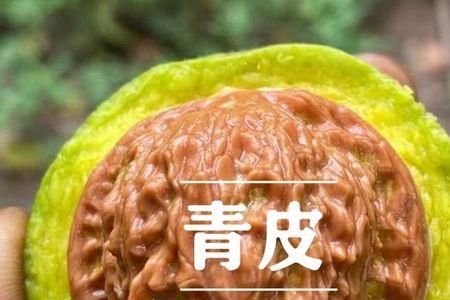 文玩核桃60mm的青皮能开多大