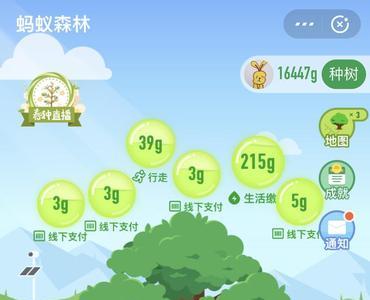 蚂蚁森林保护地只有6块吗