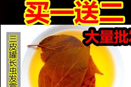 三皮罐茶叶煮还是泡