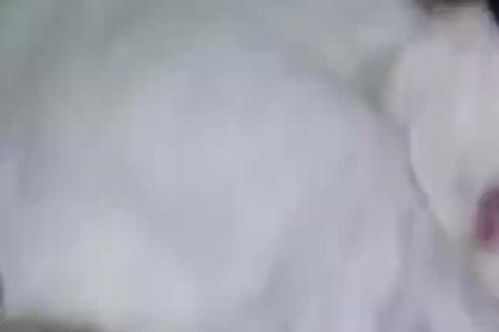 兔子在人身上刨来刨去是为啥