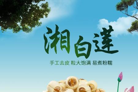 白莲是什么味道