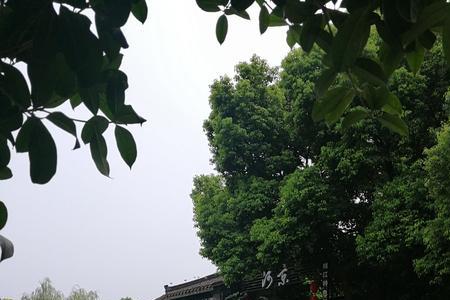 扬州广陵区区号是多少