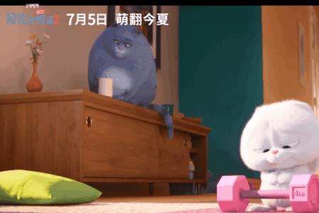 宠物大危机麦克配音是
