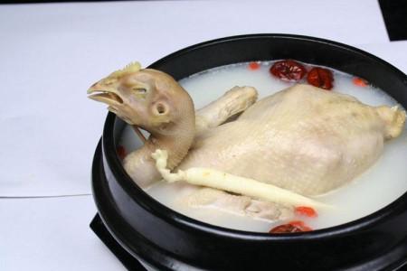 孕早期鸽子汤做法