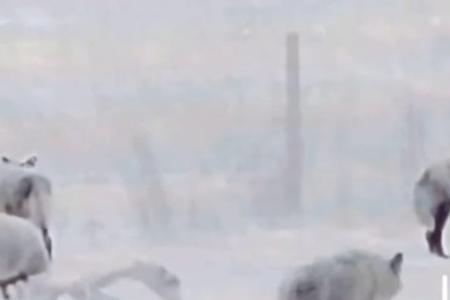 无处遁形是什么意思