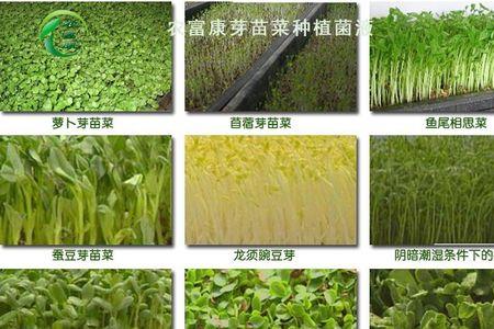 em菌是不是氮源