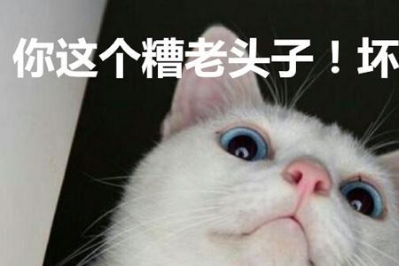 你没梗了是什么梗