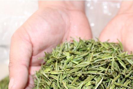 手工安吉白茶有什么区别