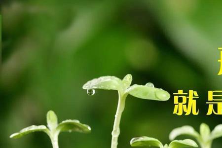 戒掉和一个人聊天需要多久