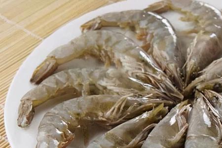 基围虾和活海参哪个好
