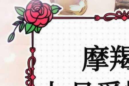 摩羯座女生说静静是什么意思