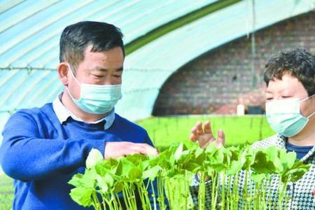 单位合同工可以回农村入党吗
