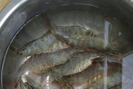 草虾怎么清理