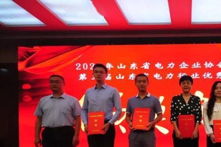 山东电力咨询院是山东国企吗