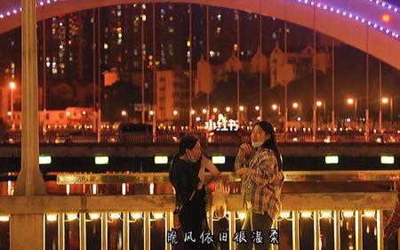 晚风与你皆温柔下一句是什么