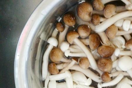 面条冷藏几天长白菌还能吃吗
