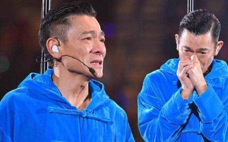 刘德华目前粉丝排名多少位