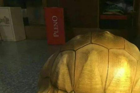 安格罗卡介绍