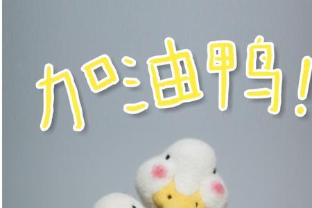 加油鸭歌曲的含义