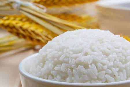 瘦人吃米饭还是面食好