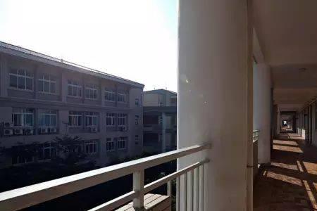 东莞南开实验学校高考升学率