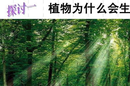 农作物光合作用效率有多高