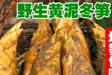 新鲜的毛竹笋怎么保存时间长