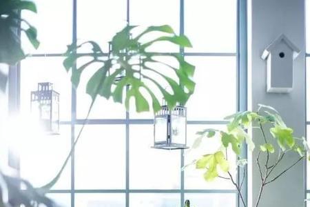 阳光屏有用吗