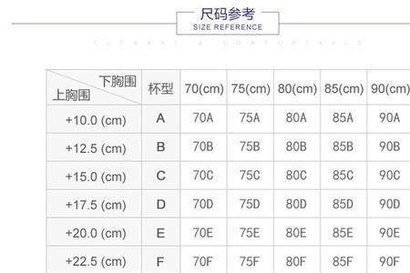 83的上胸围什么概念