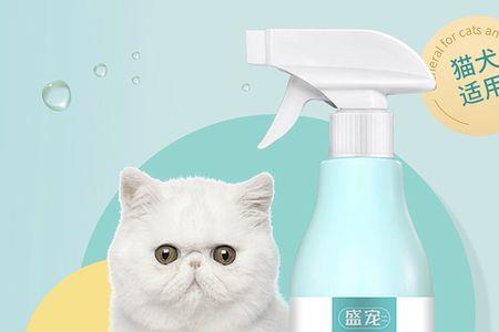 猫尿渗透到水泥地里怎么除味