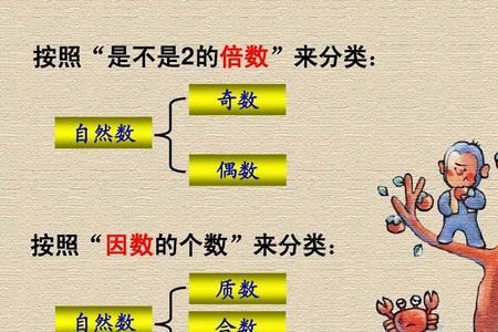 自然数的分类及定义